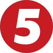 5 канал logo